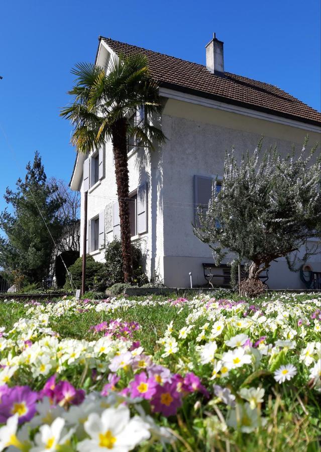 B&B Kalimera Pratteln Buitenkant foto